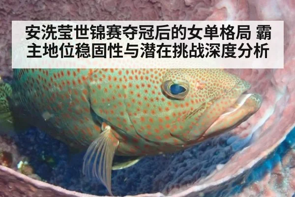 安洗莹世锦赛夺冠后的女单格局 霸主地位稳固性与潜在挑战深度分析